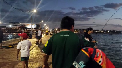 Malecón de Progreso - Progreso - Yucatán - 4K