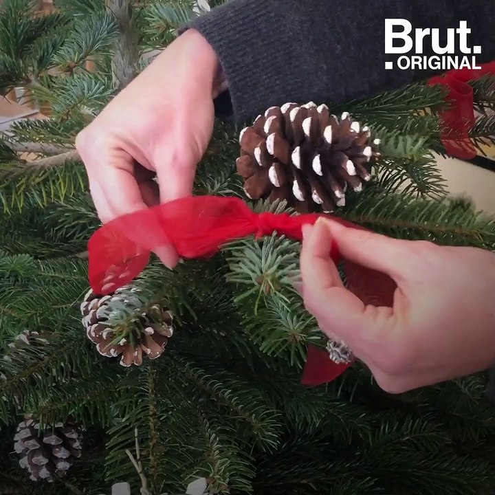How to choose your Christmas tree