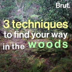 3 techniques to find your way in the woods