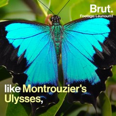 Blue River Provincial Park: a marvel of Caledonian nature