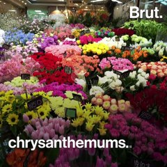 How growing flowers impact the environment