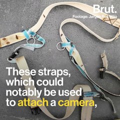 What lies behind the decline of the vaquita