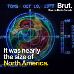 This is an environmental success story