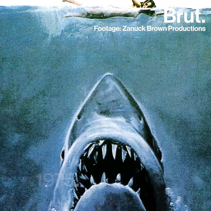 Busting the Myth of the Man-Eating Shark