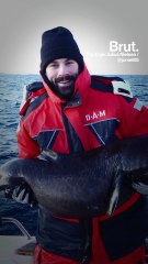 The rare and elusive sharks that live for hundreds of years