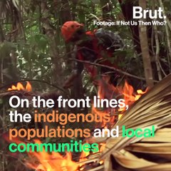 Global warming is threatening Latin American forests