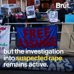 Julian Assange and WikiLeaks: What Happened?