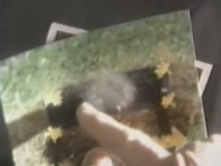 Photos Étranges au Cimetière