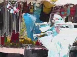 Batterie fanfare de dameleviere