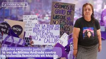24 años exigiendo justicia: la voz de Norma Andrade contra la violencia feminicida en México