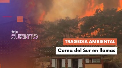 Te lo Cuento 26-03-25: Incendio incontrolable en Corea del Sur supera 17 mil hectáreas