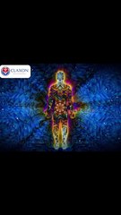 "How Your Immune System Protects You | Quick Explainer"