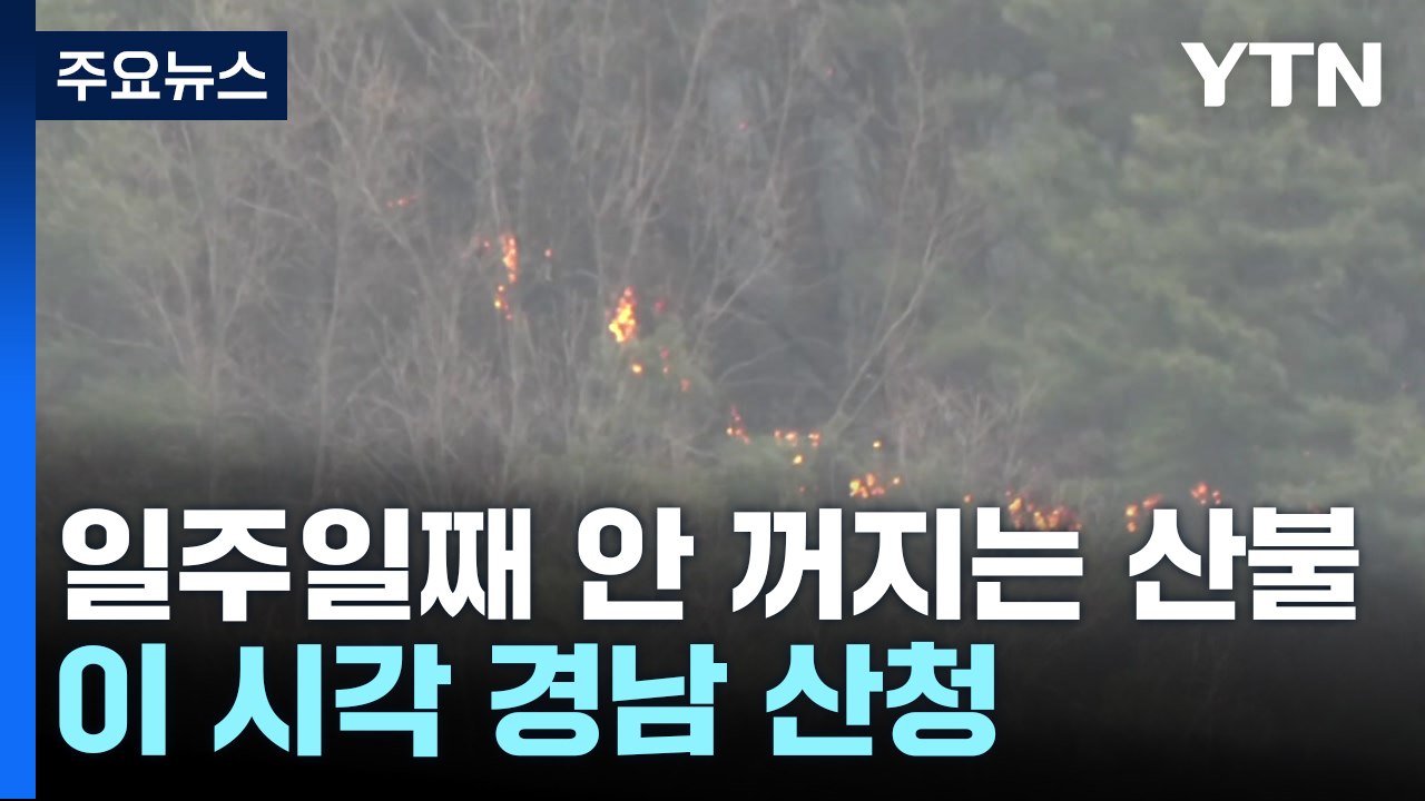 일주일째 안 꺼지는 산불...이 시각 경남 산청 / YTN