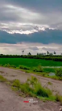 Heaven ⭐ Sky Village #maxrecords #larkana #sindh #pakistan #villagelife #nature #village #sindhi