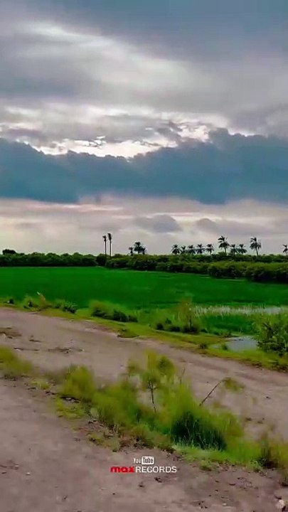 Heaven  ⭐ Sky  Village #maxrecords #larkana #sindh #pakistan #villagelife #nature #village #sindhi