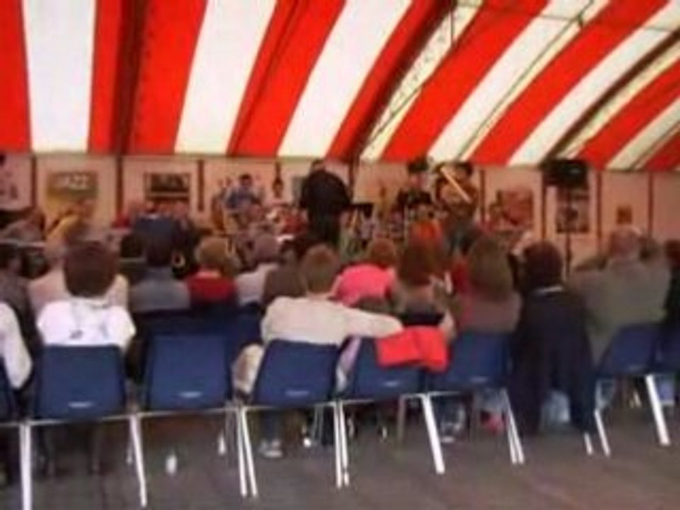 Jazz musique blues amateur coutances  2008