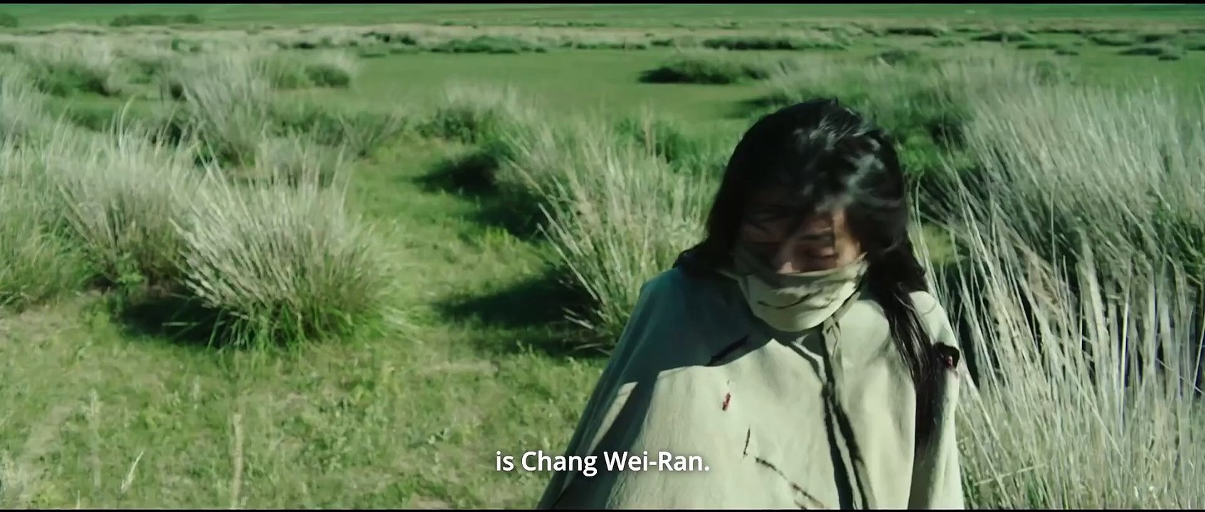 WILD SWORD Movie