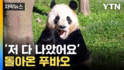 [자막뉴스] "푸바오, 몸 좋아졌다"...113일 만에 외부 공개 / YTN