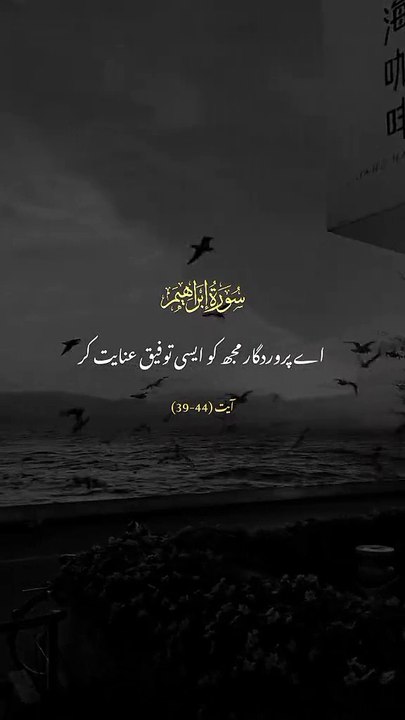 #islamicstatus #reels #foryou  #viralvideo #viral