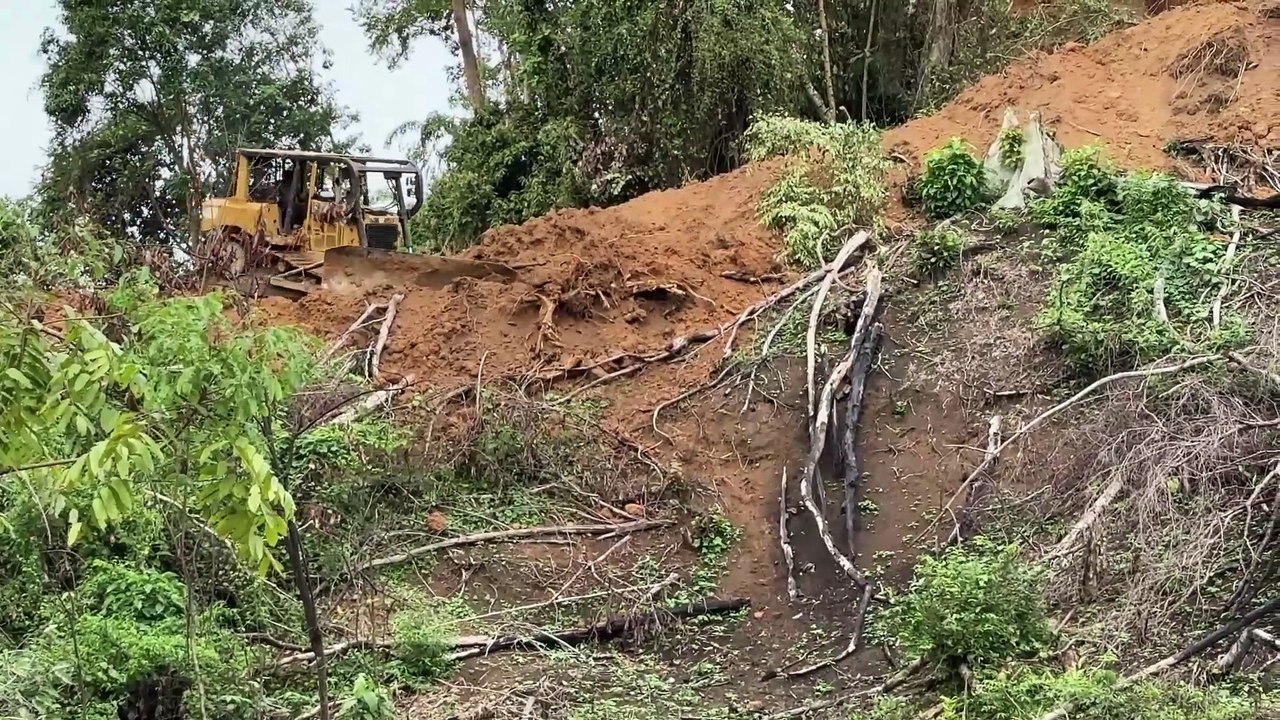 The Effectiveness of the D6R XL Bulldozer Forming a Terrace in Rugged Oil Palm Plantations