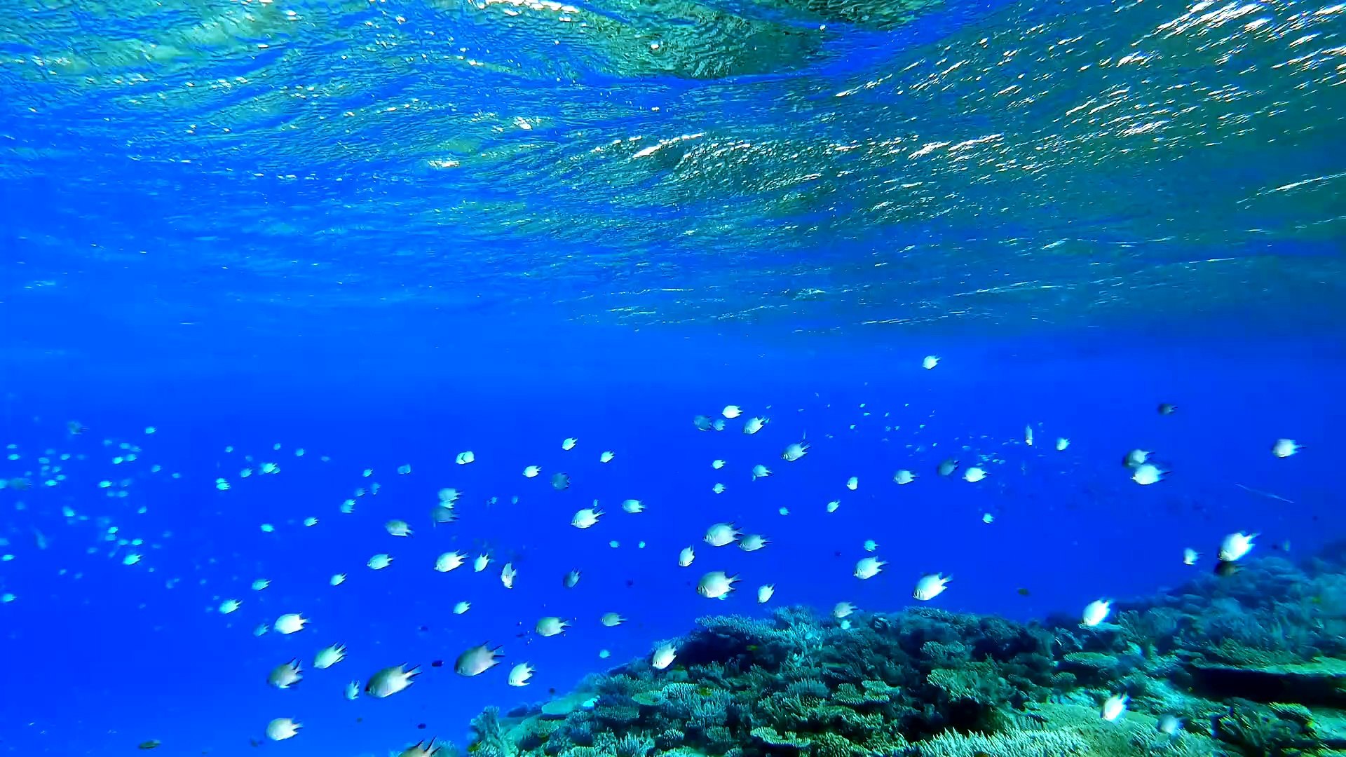 ⁣Relaxing Music , Stress Relief Music, Sleep Music,