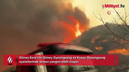 Güney Kore’de orman yangını etkili oluyor