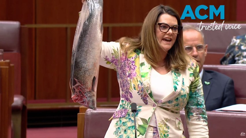 Salmon farming in the Senate: Sarah Hanson-Young hoists rotten fish in ...