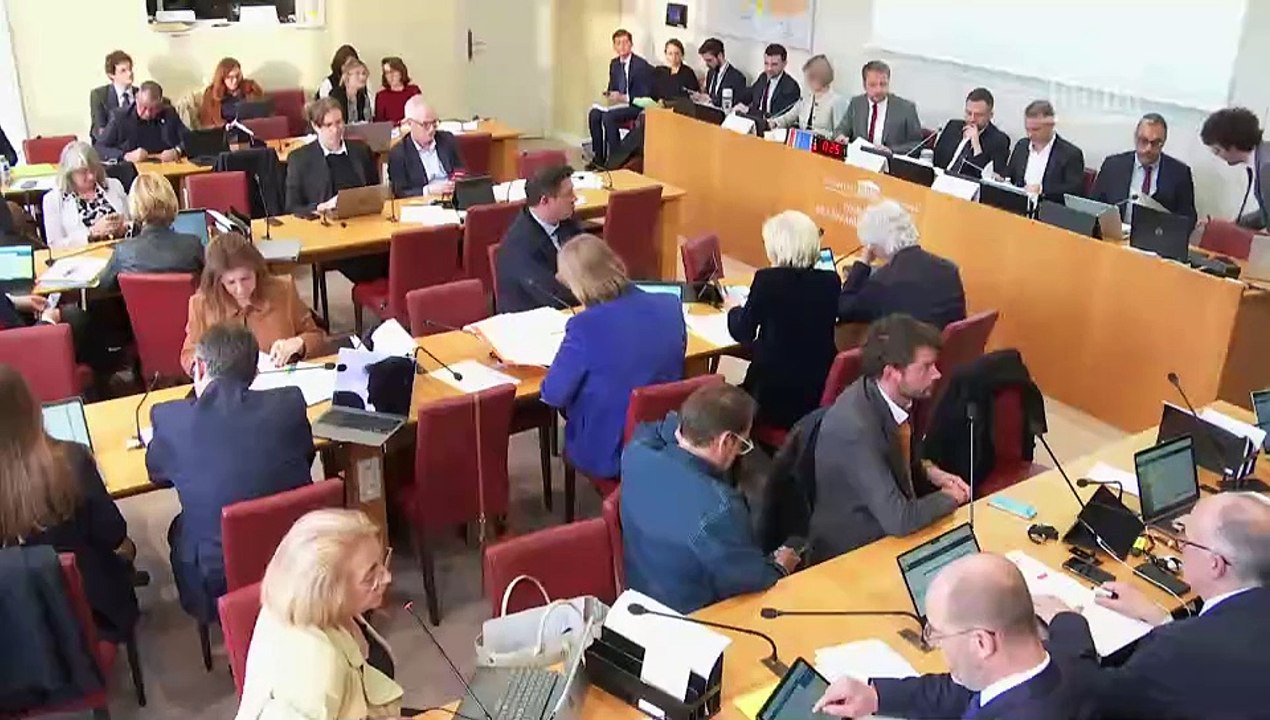 Simplification de la vie économique : Projet de loi de simplification de la vie économique (suite) - Mardi 25 mars 2025