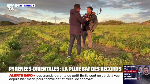 Ça fait au moins trois ans que ça n'a pas été aussi vert : dans les Pyrénées-Orientales, la pluie bat des records