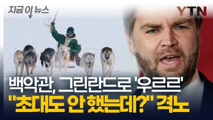 그린란드에 '개썰매' 보러 총출동하는 美 고위 인사들...초대도 안 했는데? [지금이뉴스] / YTN