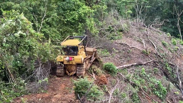 Modern Technique of D6R XL Bulldozer Forms Palm Terraces in Plantations