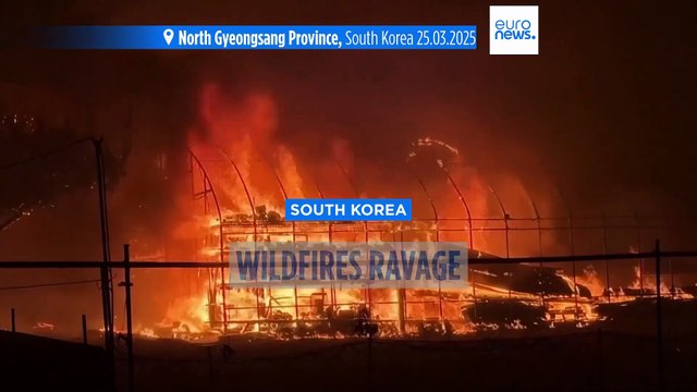 Dozens dead and thousands evacuated in 'unprecedented' South Korea wildfires