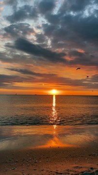 God's Timing is Perfect! Trust His Plan & Stay Blessed 🙏✨ #Faith #Miracles