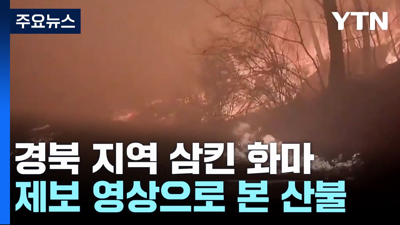 경북 지역 삼킨 화마...제보 영상으로 본 산불 / YTN