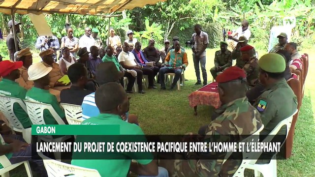 [#Reportage] Gabon : Lancement du projet de coexistence pacifique entre l’homme et l’éléphant