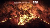 كارثة بيئية في كوريا الجنوبية: حرائق الغابات تودي بحياة 24 وتشرد الآلاف