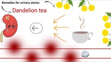 Dandelion tea - a good remedy for urinary stones