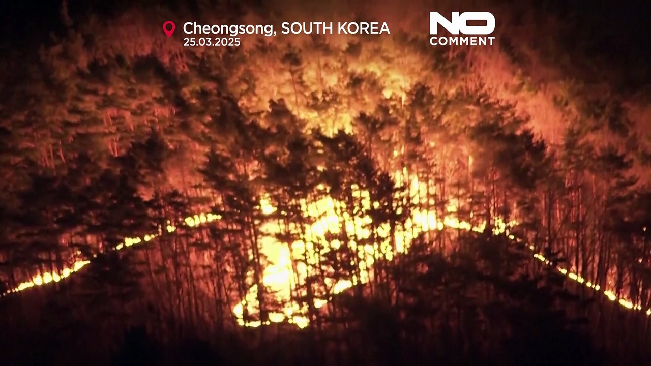 Des incendies mortels ravagent le sud de la Corée du Sud