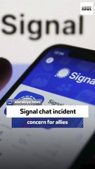 Former US official: Signal chat incident concern to allies
