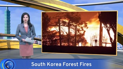 Wildfires Leave at Least 18 People Dead in South Korea