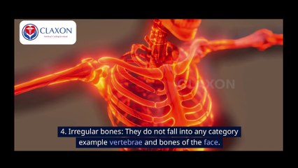 👉 "The Skeletal System EXPLAINED! 🦴 | Human Bones & Their Functions"