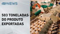EUA aumentam em 93% importação de ovos do Brasil