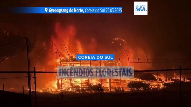 Pelo menos 24 mortos e milhares de evacuações devido a incêndios florestais sem precedentes na Coreia do Sul