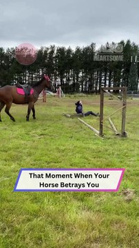 When Your Horse Has a Sense of Humor | Heartsome 💖