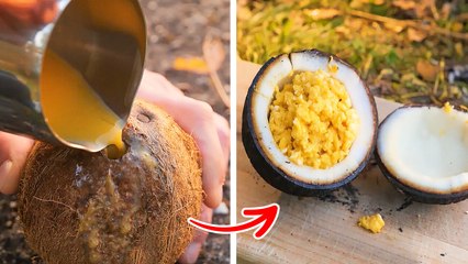 Check out these Smart Camping hacks and Get Ready for New Forest season