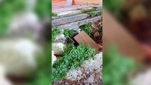 Il video della voragine in via Autonomia Siciliana a Palermo