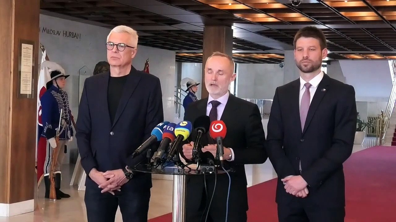 TK hnutia Progresívne Slovensko (17)