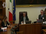 Roma - Legge di delegazione europea 2024 - Audizioni (25.03.25)