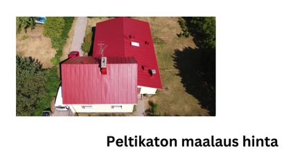 peltikaton maalaus - Katon maalaus hinta
