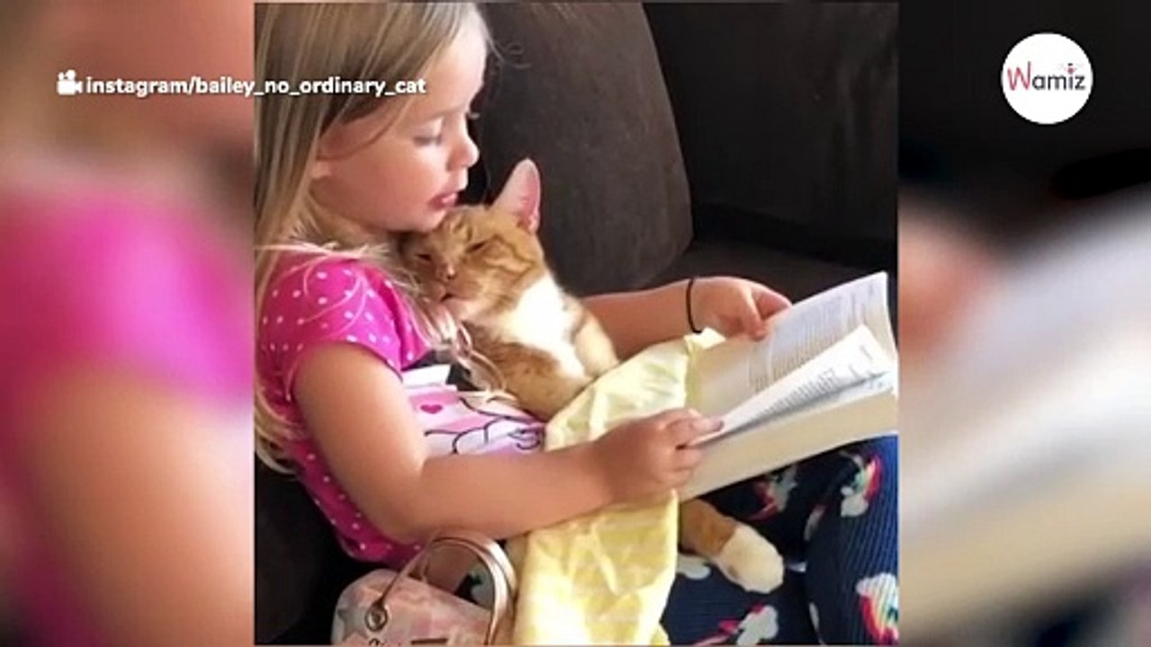 Mädchen singt ihrem kätzchen ein abschiedslied, bevor sie über die regenbogenbrücke geht